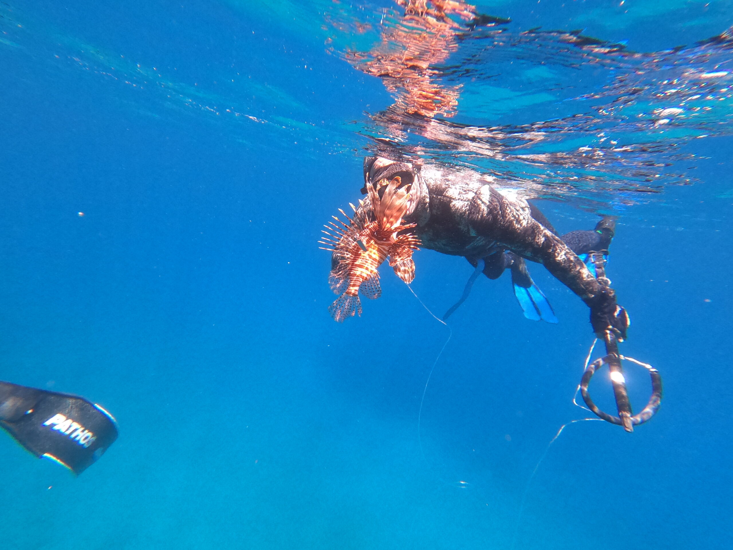 Spearfishing lionfish in Crete