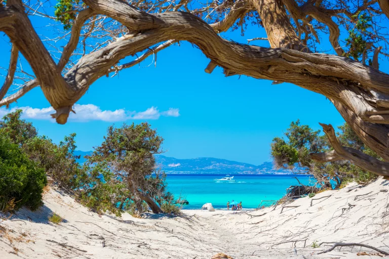 Private Boat Trip to Chrissi & Koufonisi from Ierapetra,Crete